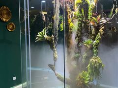 -泰悠谷养生SPA(世茂商业街店)