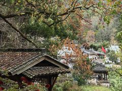 -塔川景区