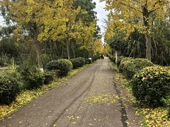 -白鹭湾湿地公园