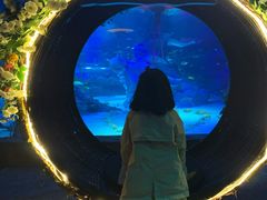 -沈阳海洋探索中心