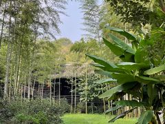 -大唐贡茶院