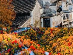 -四明山国家森林公园