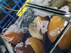 -班赞海鲜市场