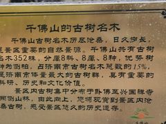 -千佛山风景名胜区