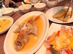 酒香蒸鲥鱼-东方明珠老上海8号餐厅