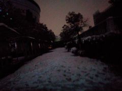 -金陵中学(河西分校)