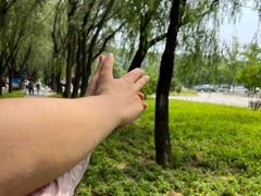 -野鸭湖国家湿地公园