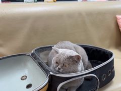 -宠颐生中康贝怡动物医院
