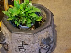-可可大虾武汉土菜大排档(万松园1店)