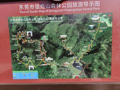 -清溪森林公园