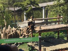 -大连森林动物园