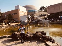 -自贡恐龙博物馆