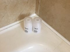 -圣爵菲斯大酒店(长沙世界之窗店)