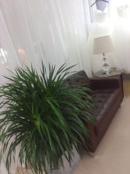 -ChenV西服礼服高级定制(市区养育巷店)