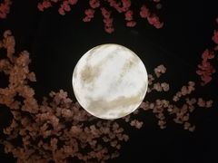 -蓝鲸湾汤泉(包河店)