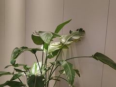-东方威尼斯温泉酒店
