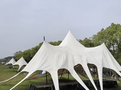 -动邦皮划艇·桨板·独木舟·团建户外运动俱乐部