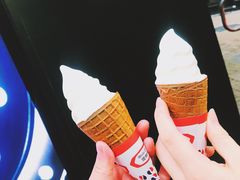 -富豪雪糕车流动点(尖沙咀店)