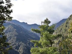 -苍山感通索道