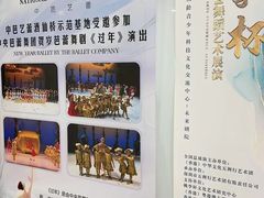 -中央芭蕾舞团·中芭艺蕾(酒仙桥明星校区)