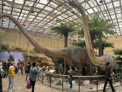 -国家自然博物馆