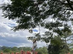 -中国科学院西双版纳热带植物园
