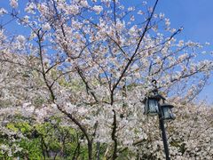 -苏州上方山国家森林公园