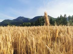 -秦岭风景区