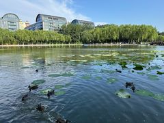 -中国农业博物馆