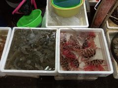 -板桥海鲜广场(文明东店)