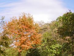 -广州市石门国家森林公园