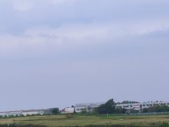 -空港花田景区