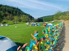 -武陵山森林公园