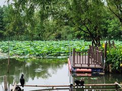 -长兴太湖图影湿地文化园