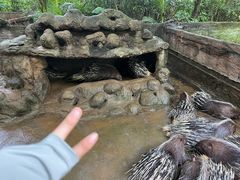 -海南热带野生动植物园