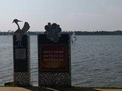 -丁香湖公园