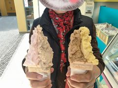 -柠檬车露(卖草地店)