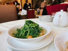 上汤蒜子泡苋菜-利苑酒家(金宝店)