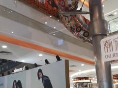 -巴黎春天(浦建店)