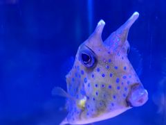 -太平洋海底世界