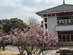 -无锡梅园公园
