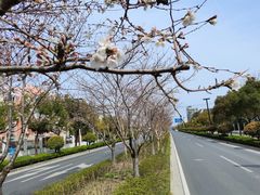 -上海交通大学医学院附属仁济医院(南院)
