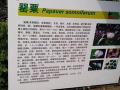 -国家植物园南园