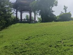 -武清南湖绿博园