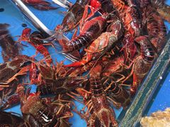 -乔哥铭洋海鲜自助(皇城恒隆广场店)