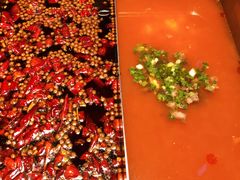 麻辣木瓜番茄鸳鸯锅-大隐·成都火锅Bistro(合生麒麟新天地店)