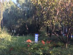 -西安市长乐公园