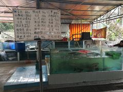 -鹿福农庄(南沙天后宫店)