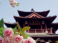 -西安青龙寺遗址景区