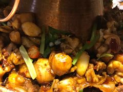 牛蛙锅-老佛爷炭火蛙锅直营(清滨路总店)